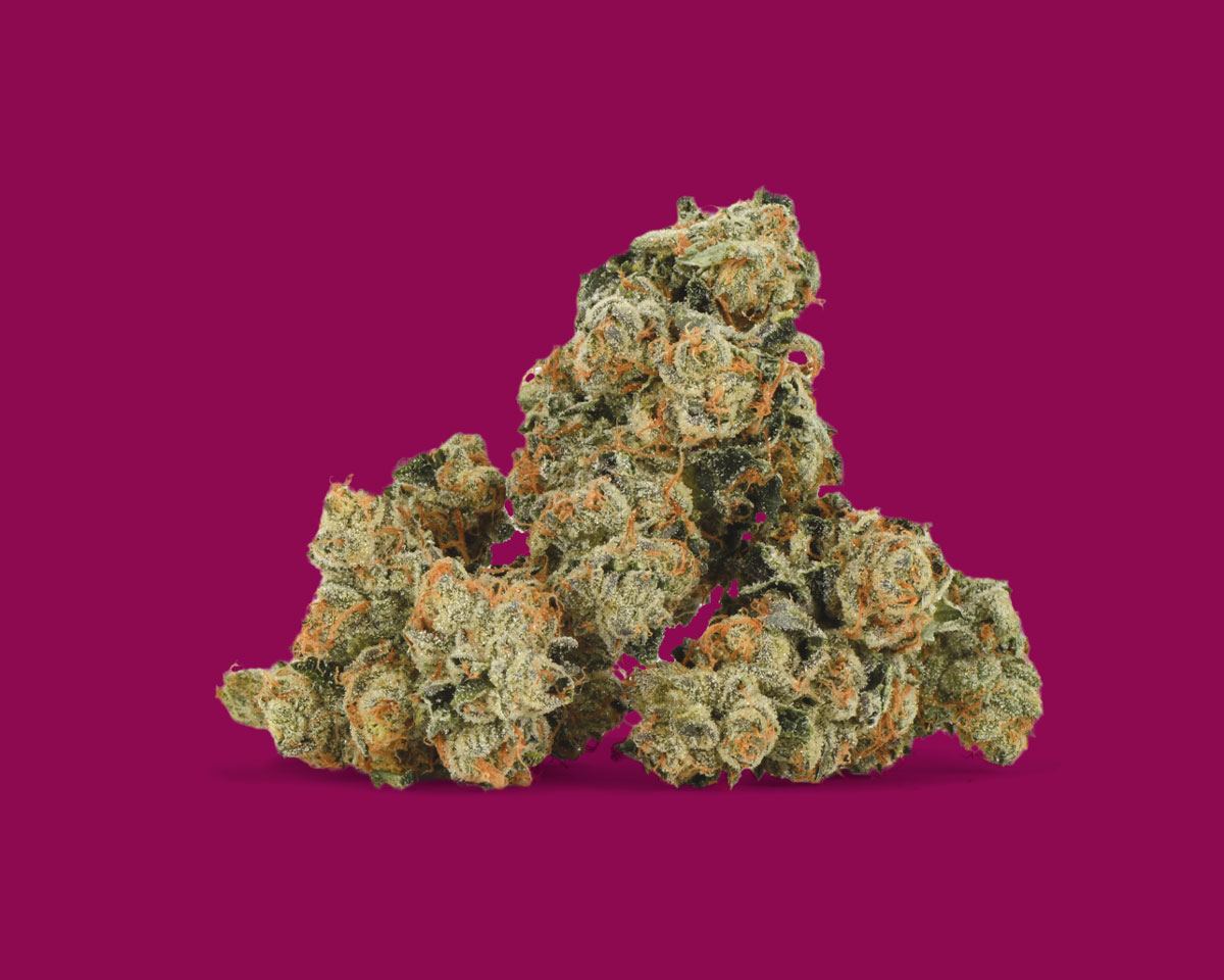 K-Smorz - Flower Image