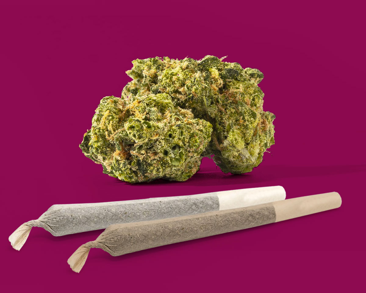 Powdered Donuts - Flower Image