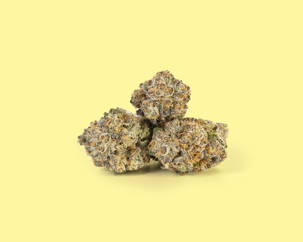 West Coast Banana Skunk